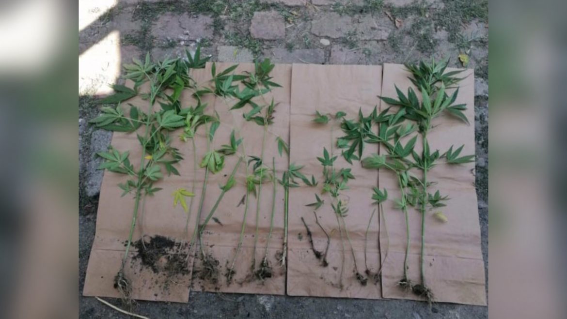 117A150B-7CBF-4A7D-8C66-710914DE8140