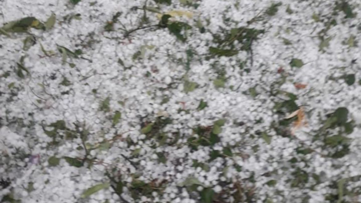 6CA14D5E-DDD4-4A36-8F41-ABB4C985934D