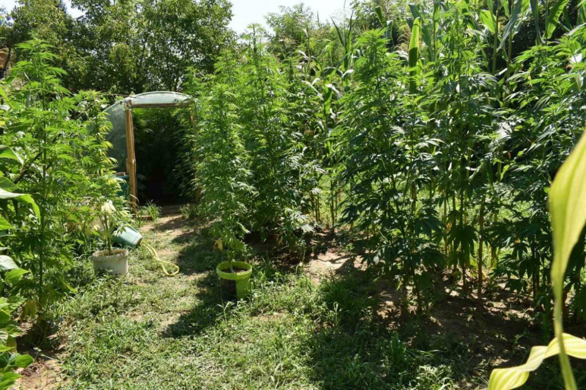 A1C1AE82-6233-44A7-9FC3-6C9813C02B60