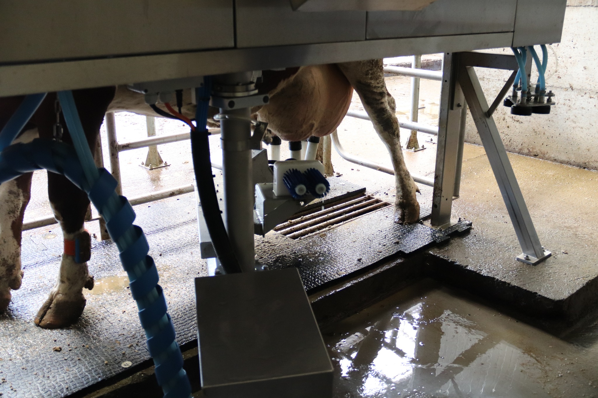 577269711_821474910470711_212291226750533675_n