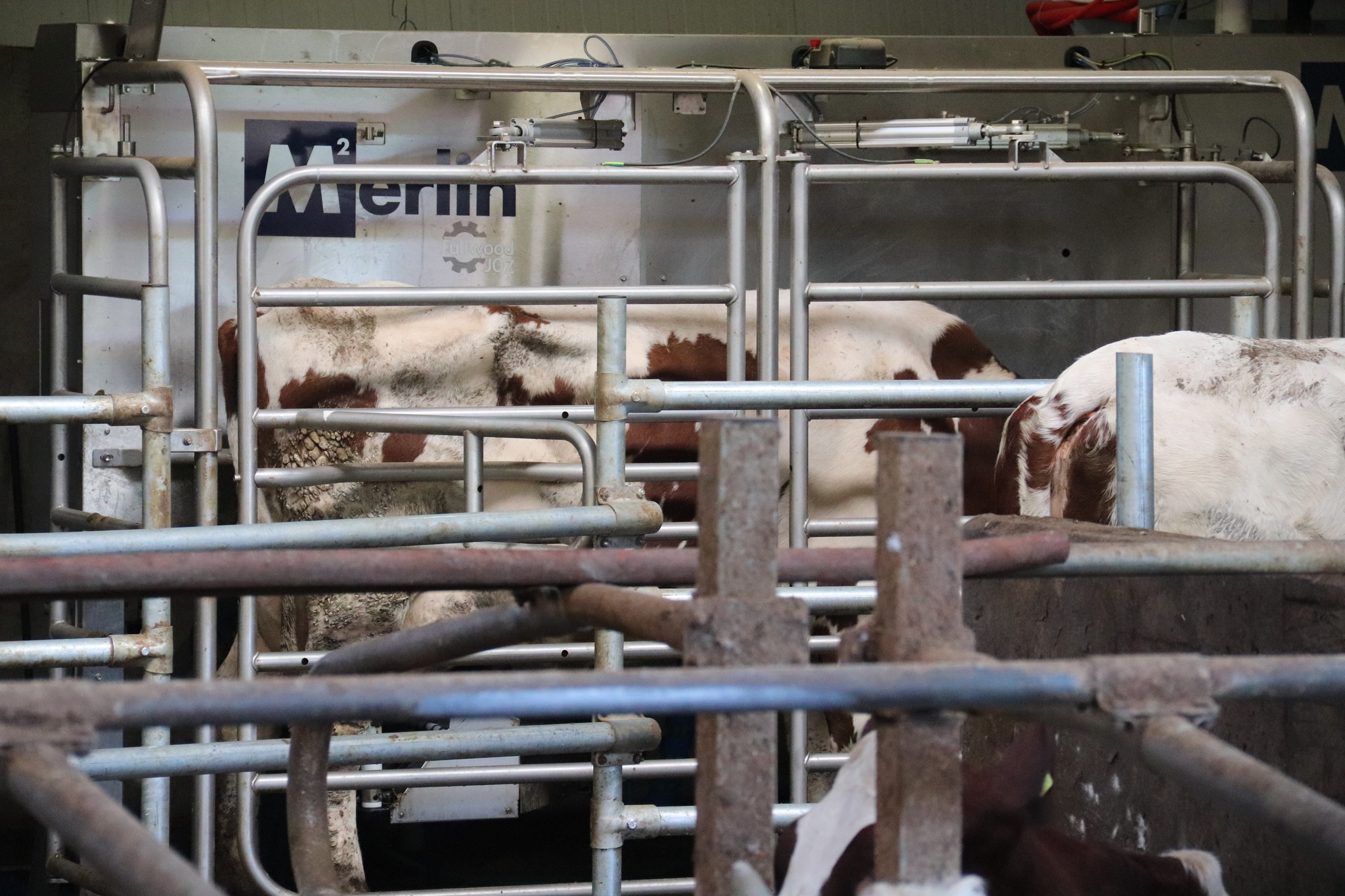 577882476_821474953804040_418830547322666270_n