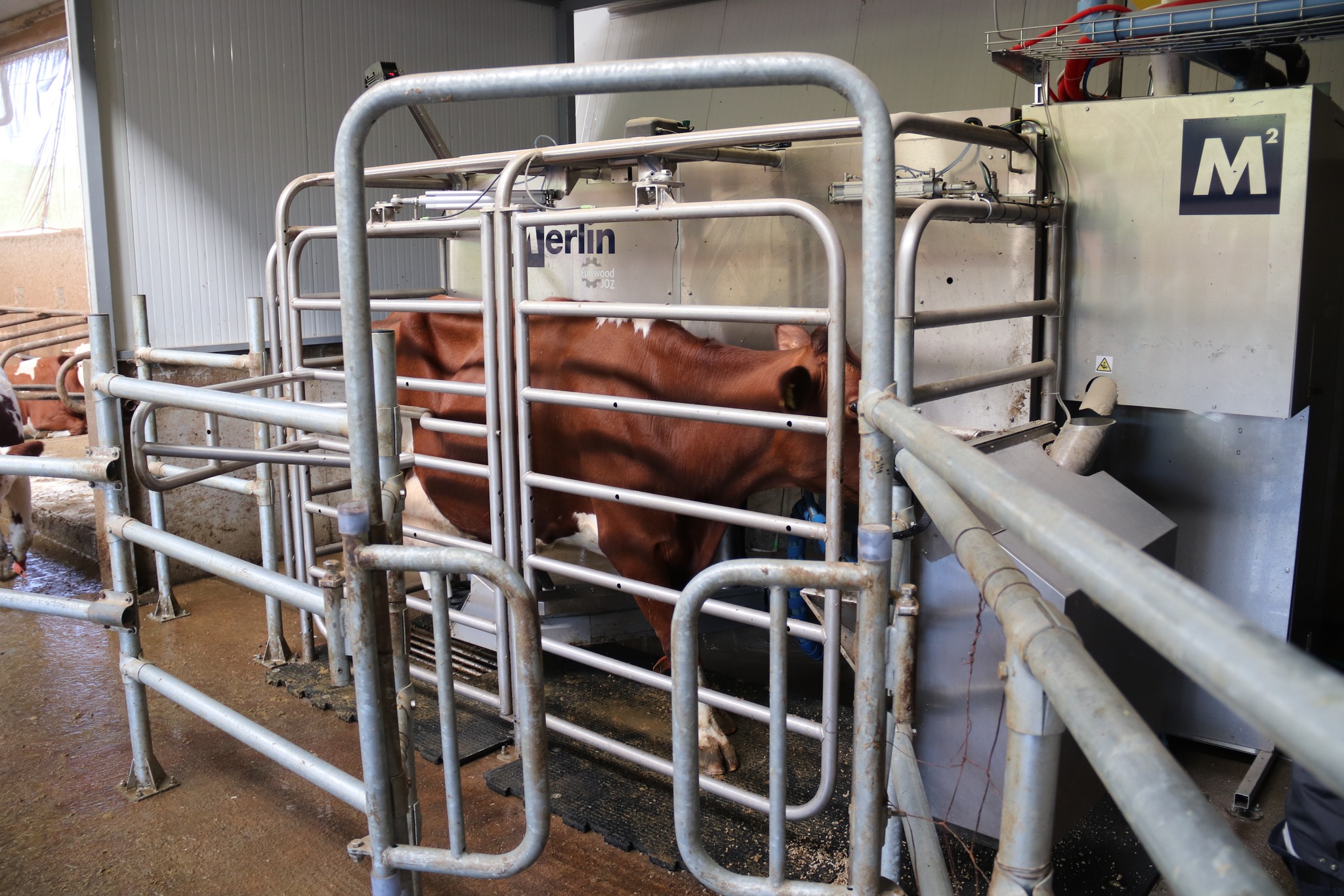 577895203_821474780470724_347037204018287021_n