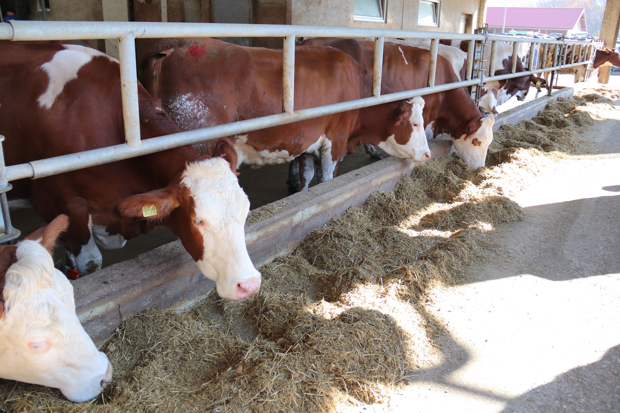 577946837_821473113804224_4188368230539593061_n