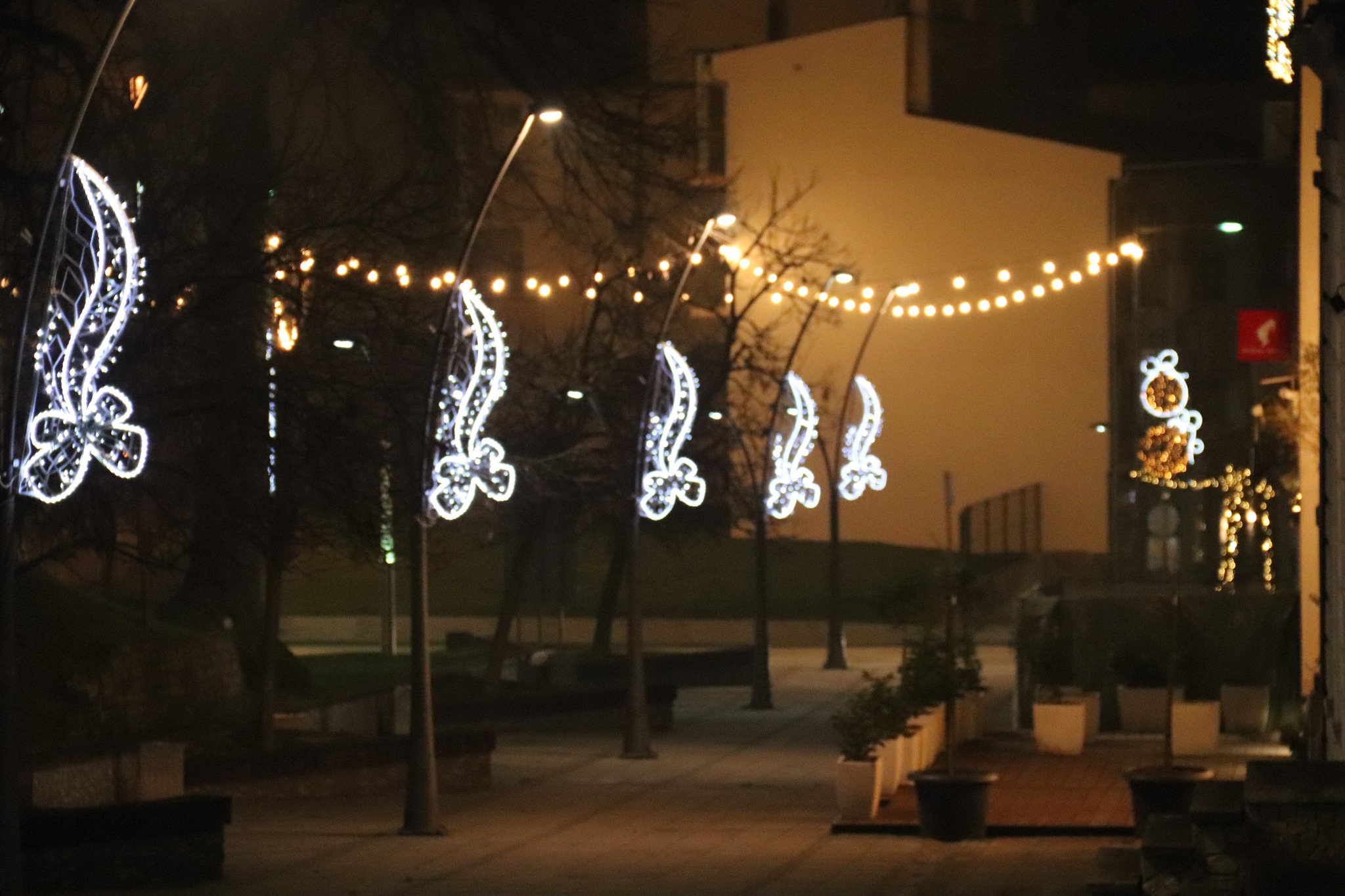 597989774_850182850933250_9094419578200514768_n