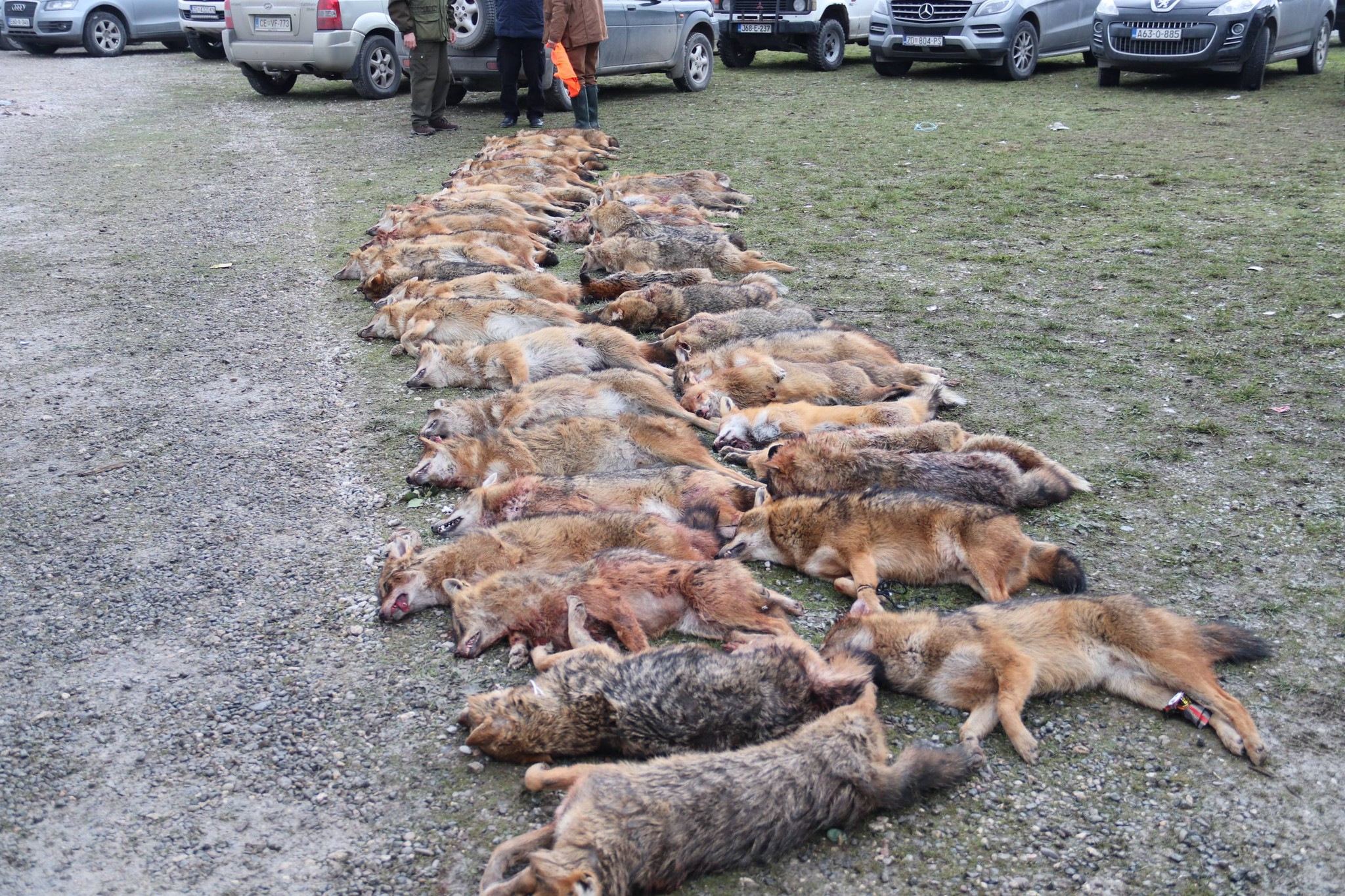 619230941_880311701253698_3065761210079762909_n